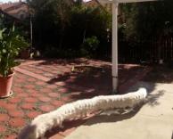 תמונה פנורמית