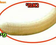 כולם מסכימים..