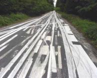 כביש מרובה בסימונים