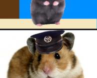 משטרת האגירה :)