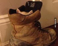 תמיד תבדוק את המגפיים שלך. היטב.