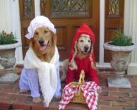 כיפה אדומה-כלבים