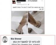 חבל