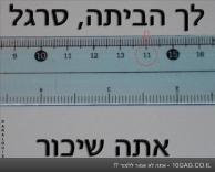 סרגל שיכור