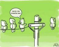 רשת אל-חוטית