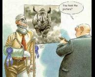 אתה צילמת את התמונה הזו?