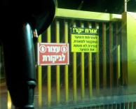 בנתיים בקיבוץ...