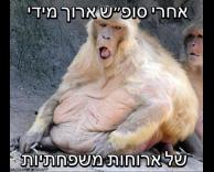 סופש