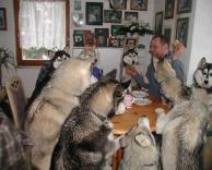 ארוחת צהריים..