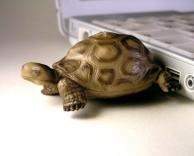 מגניב במיוחד