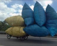 אם יש תאונה הוא עדיין יחייה..