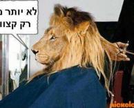 לא יותר מדי