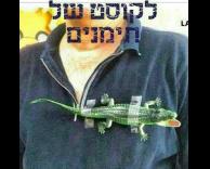 לקוסט