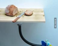 מהיום מעולם לא אשכח להאכיל את זאזו