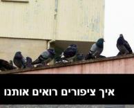 ציפורים חביבות :)