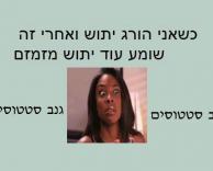 יתושים..