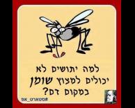 אולי ביקום מקביל