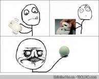 כולם עשו את זה