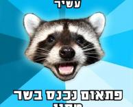מי עשיר!?