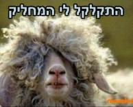 המחליק מקולקל..