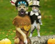 כלב וחתול-אינדיאני וקוסם