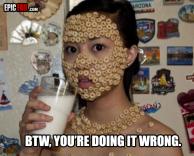 אוכלת דגנים