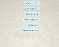 מוחמד דף