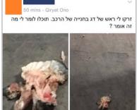 מה זה אומר
