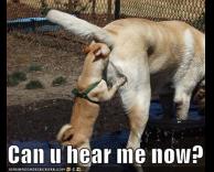 מעניין לי את התחת