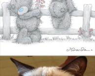 גראמפי קאט :(