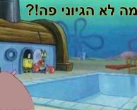 מה!?