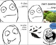 רמה חדשה של משכל... מינוס