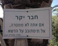 דשא