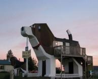 בית בצורת כלב