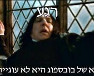 עוגיה