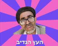 סתם גזענות