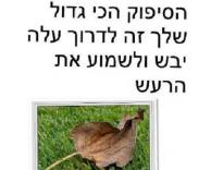 עלה יבש..
