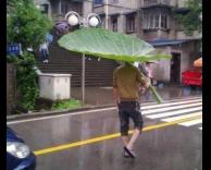 המטרייה הזולה ביותר