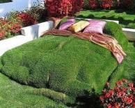 מיטה מדשא