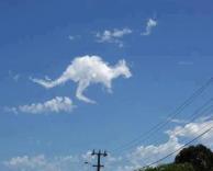 ענן בצורת קנגרו...