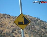 זהירות! פרות נופלות