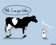 חלב, אני אבא שלך