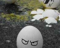 קרב ביצים