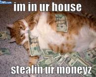 חתול אוהב כסף