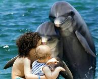 דולפינים חמודים
