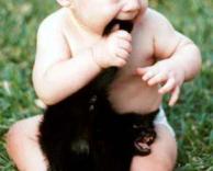 תינוק אוכל חתולה