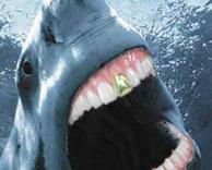 כריש עם שן זהב