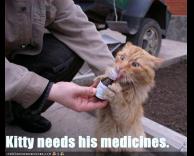החתול צריך את התרופות שלו :)