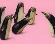 פינגווינים חצילים