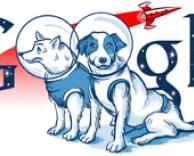 גוגל - כלבים בחלל